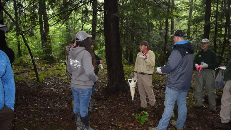 DCNR森林管理员Bill Laubscher说, center, demonstrates the application of insecticide around the base of hemlock trees. 